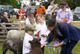 Malton Show 2024